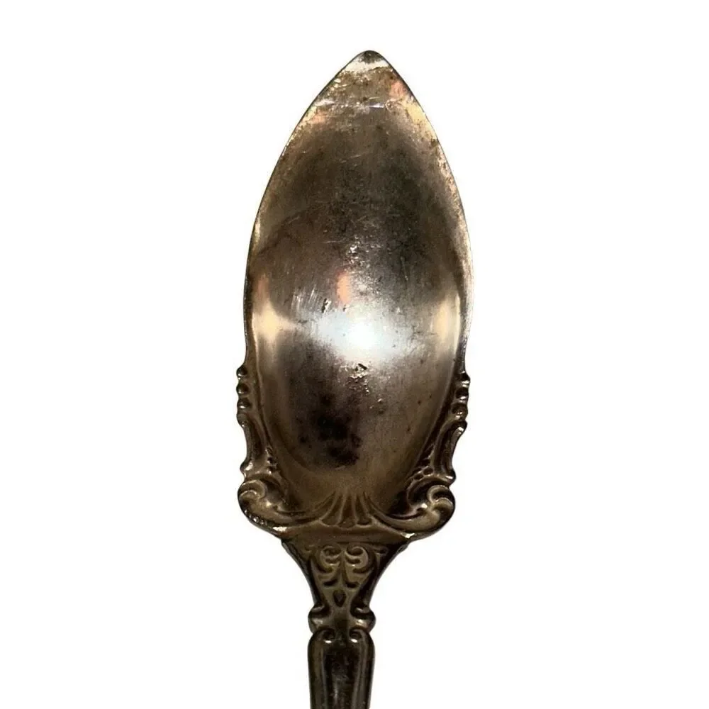 7 Vintage WM Rogers & Son AA Silver Grapefruit Spoon Set 6.5